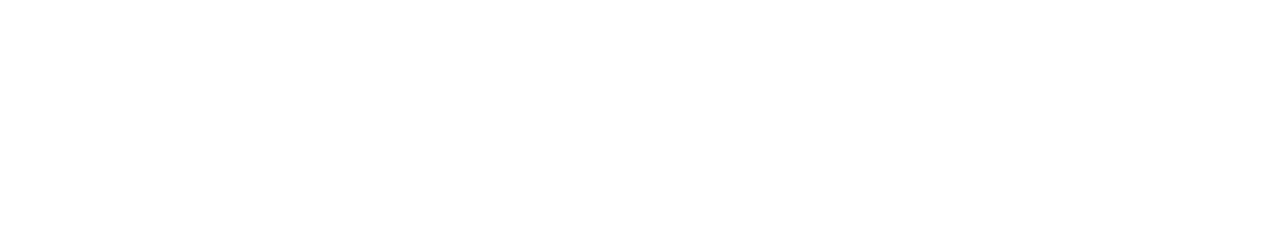 ANQOS_Logo_Blanco