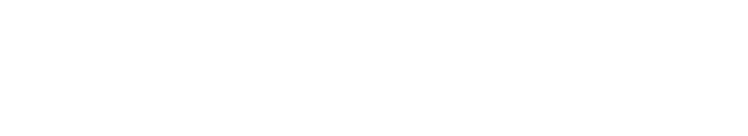 ANQOS_Logo_Blanco