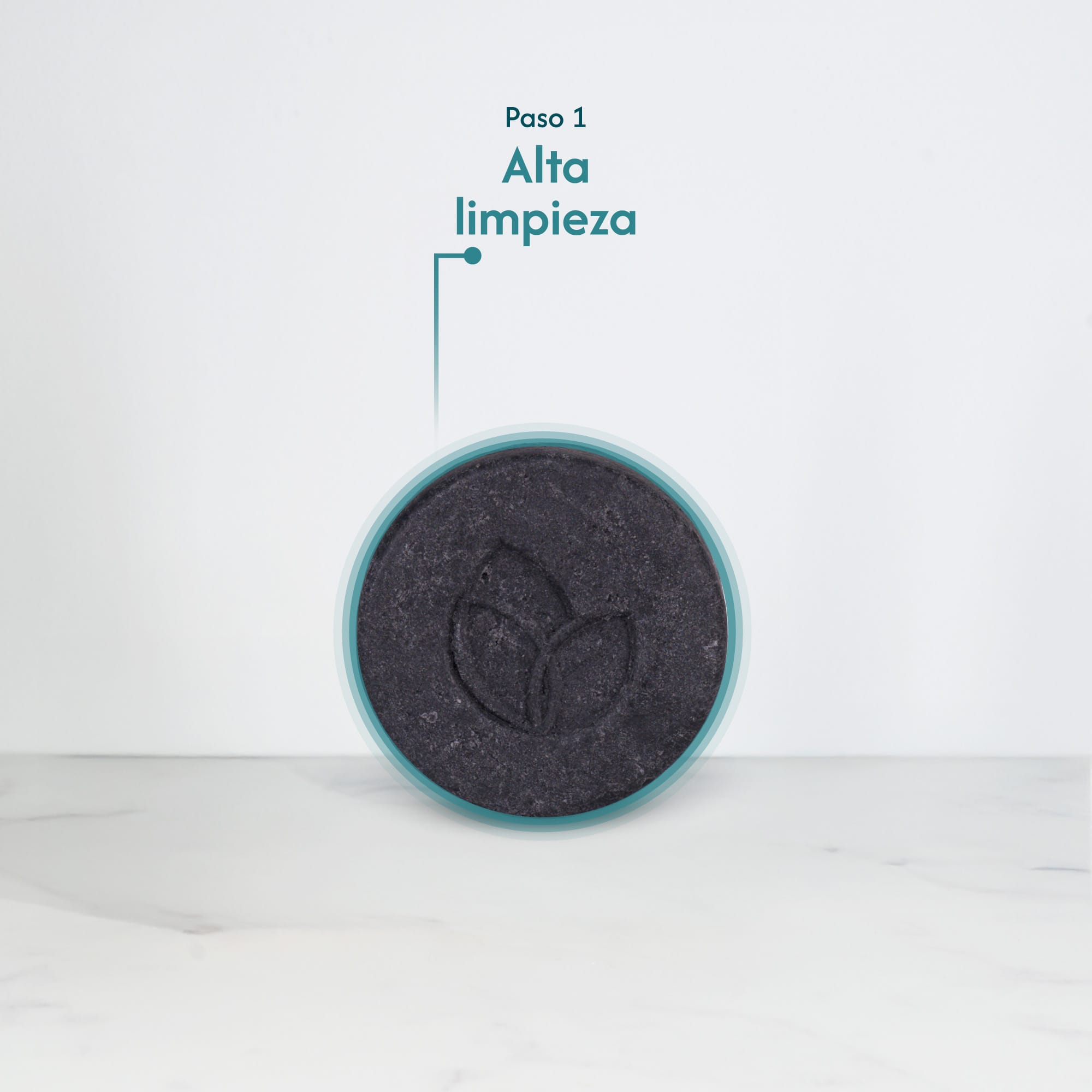 SOLID SHAMPOO CARBON PURITY 80 G - Image 3